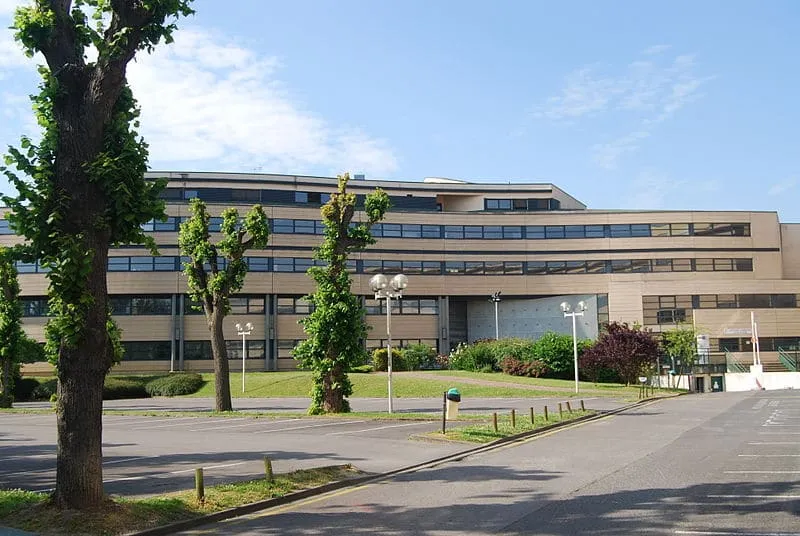 Mise à mort des DUT et dévalorisation des licences professionnelles