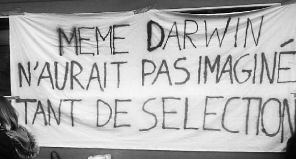 ParcourSup : les personnes en situation de handicap exclu·es de l’université !