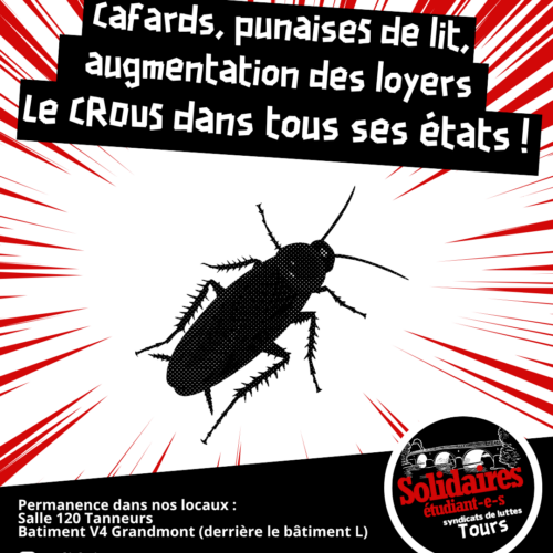 Cafards, punaises de lit, augmentation des loyers : le CROUS dans tous ses états !