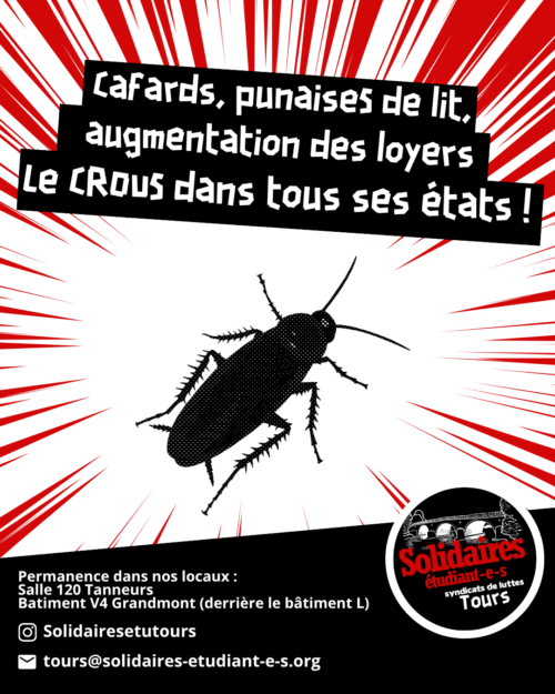 Cafards, punaises de lit, augmentation des loyers : le CROUS dans tous ses états !