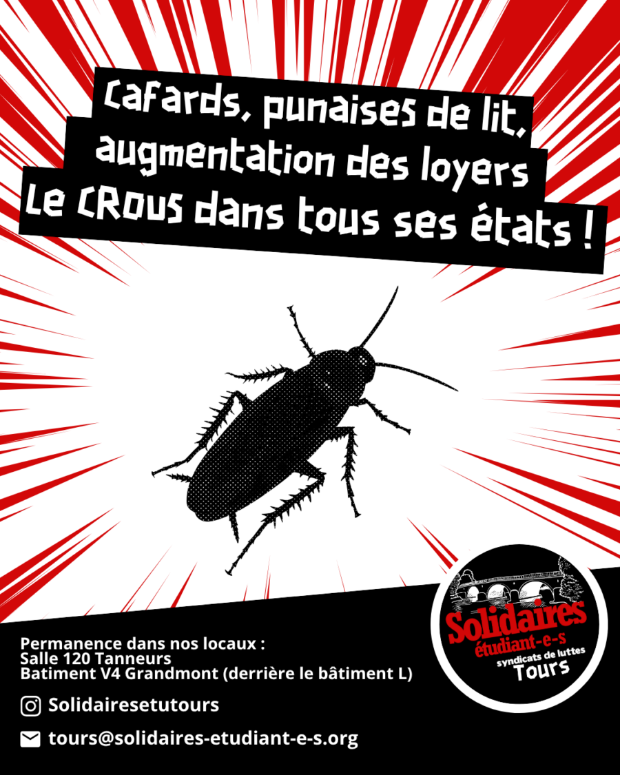 Cafards, punaises de lit, augmentation des loyers : le CROUS dans tous ses états !